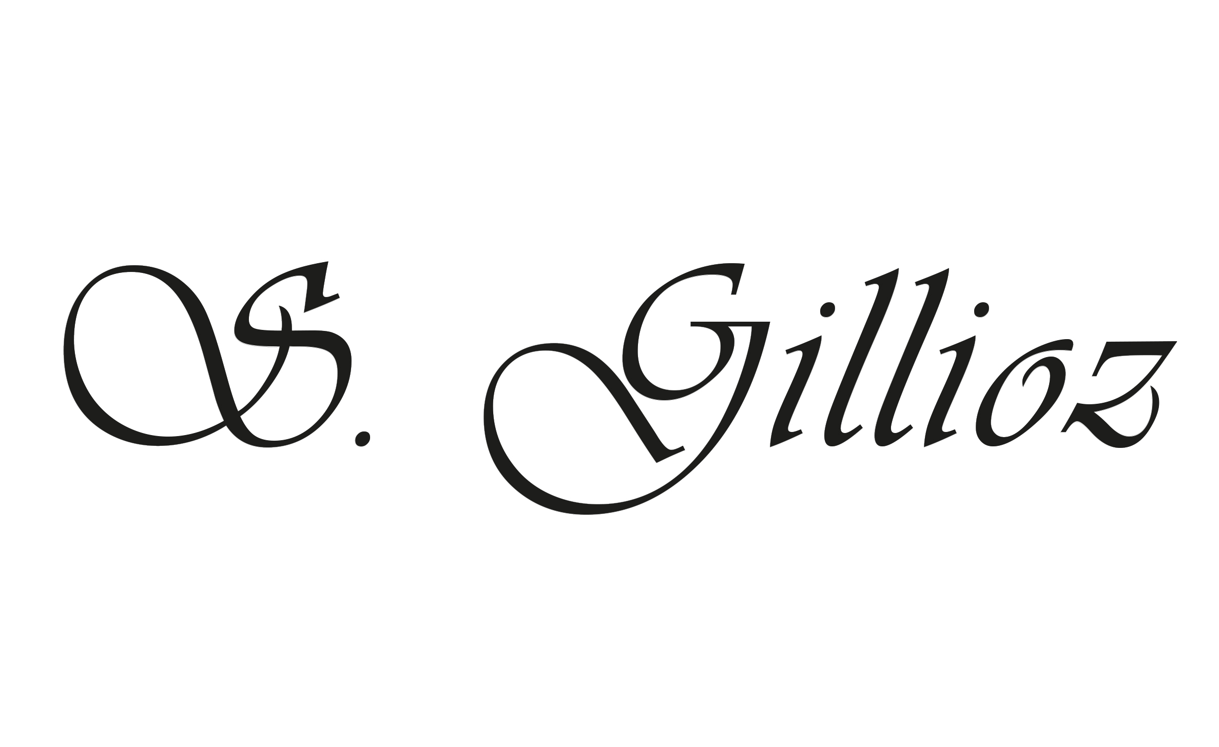 PARTNER_LOGO_S.gillioz PARTNER_LOGO_S.gillioz
